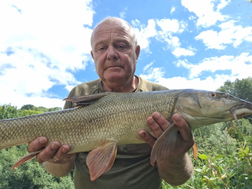 Home Fishery - GA from Bristol